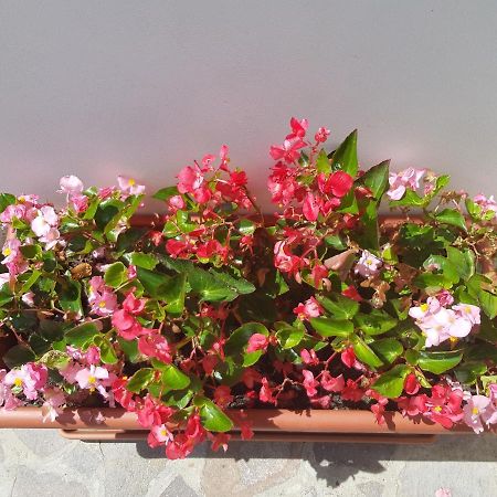 فيلا Casa Luigina Vezzola المظهر الخارجي الصورة