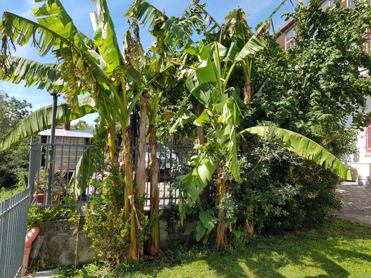 فيلا Casa Luigina Vezzola المظهر الخارجي الصورة