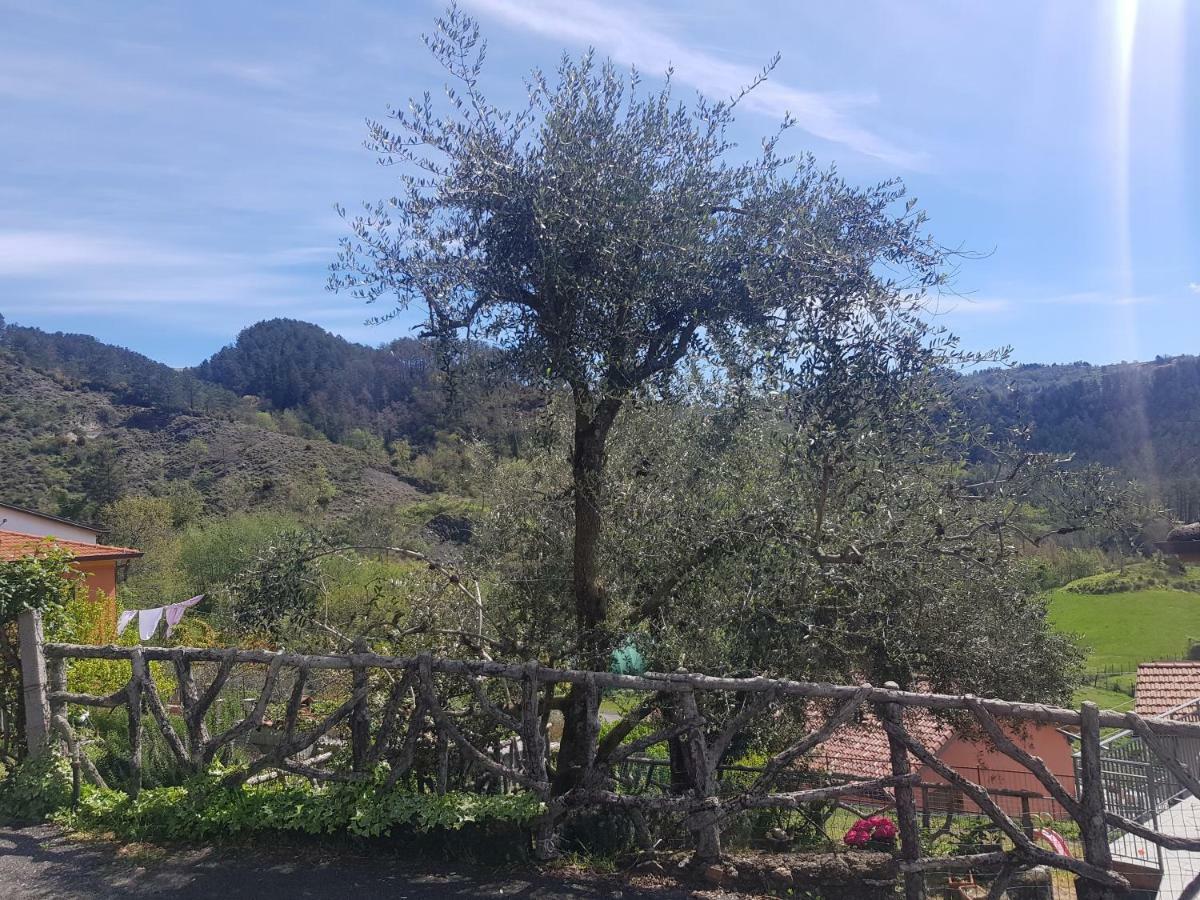 فيلا Casa Luigina Vezzola المظهر الخارجي الصورة